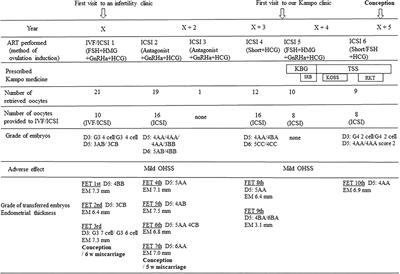 Sho-Based <mark class="highlighted">Kampo Medicine</mark> Combined With Assisted Reproductive Technology Is Effective for Refractory Infertility and Early Recurrent Miscarriage: A Case Report